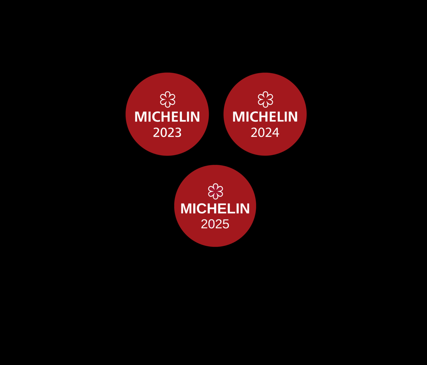 Michelin 23,24,25